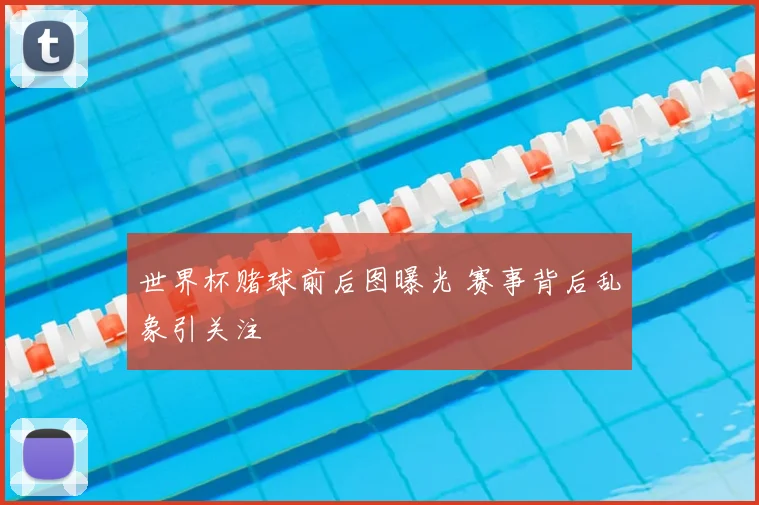 世界杯赌球前后图曝光 赛事背后乱象引关注