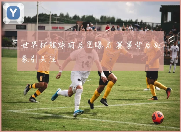 世界杯赌球前后图曝光 赛事背后乱象引关注