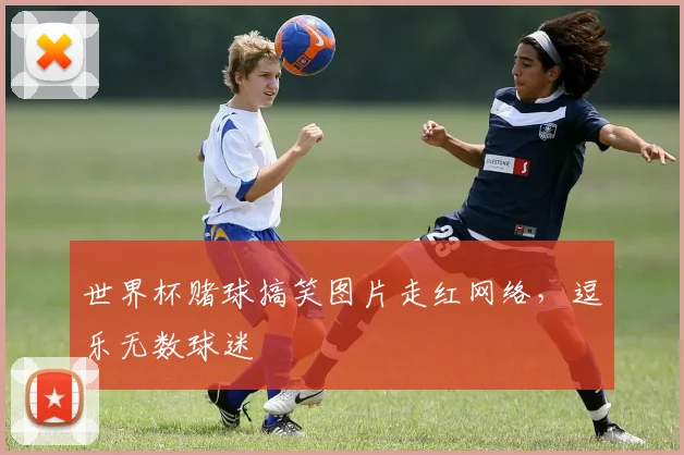 世界杯赌球搞笑图片走红网络,逗乐无数球迷